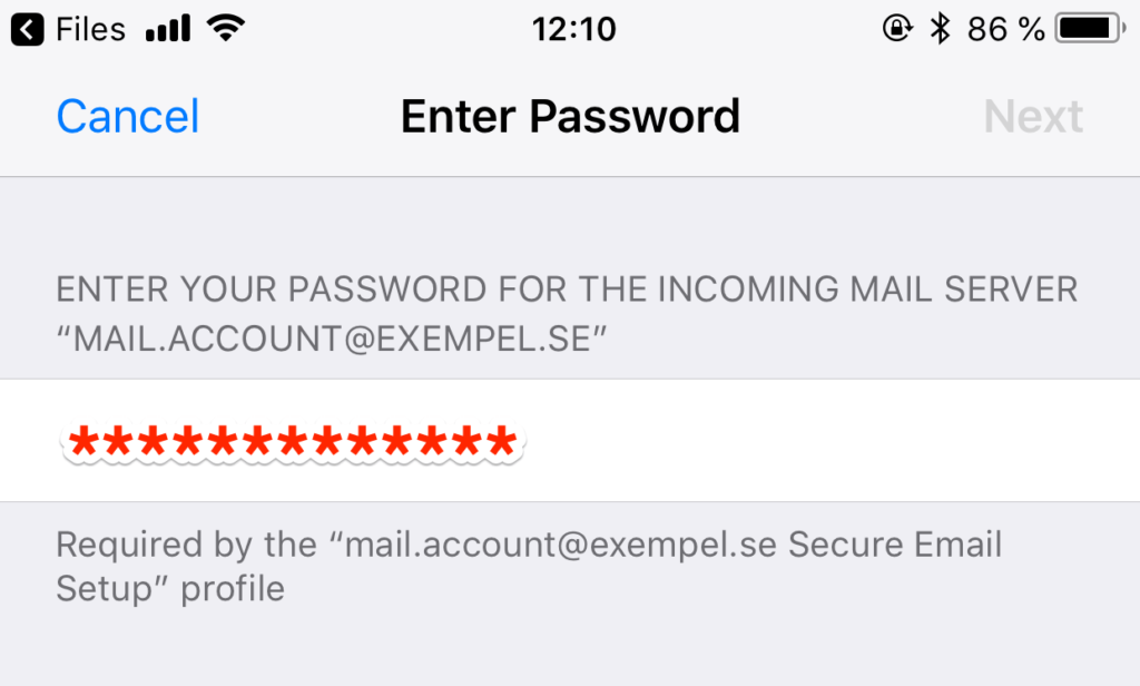 Enter password for your email account